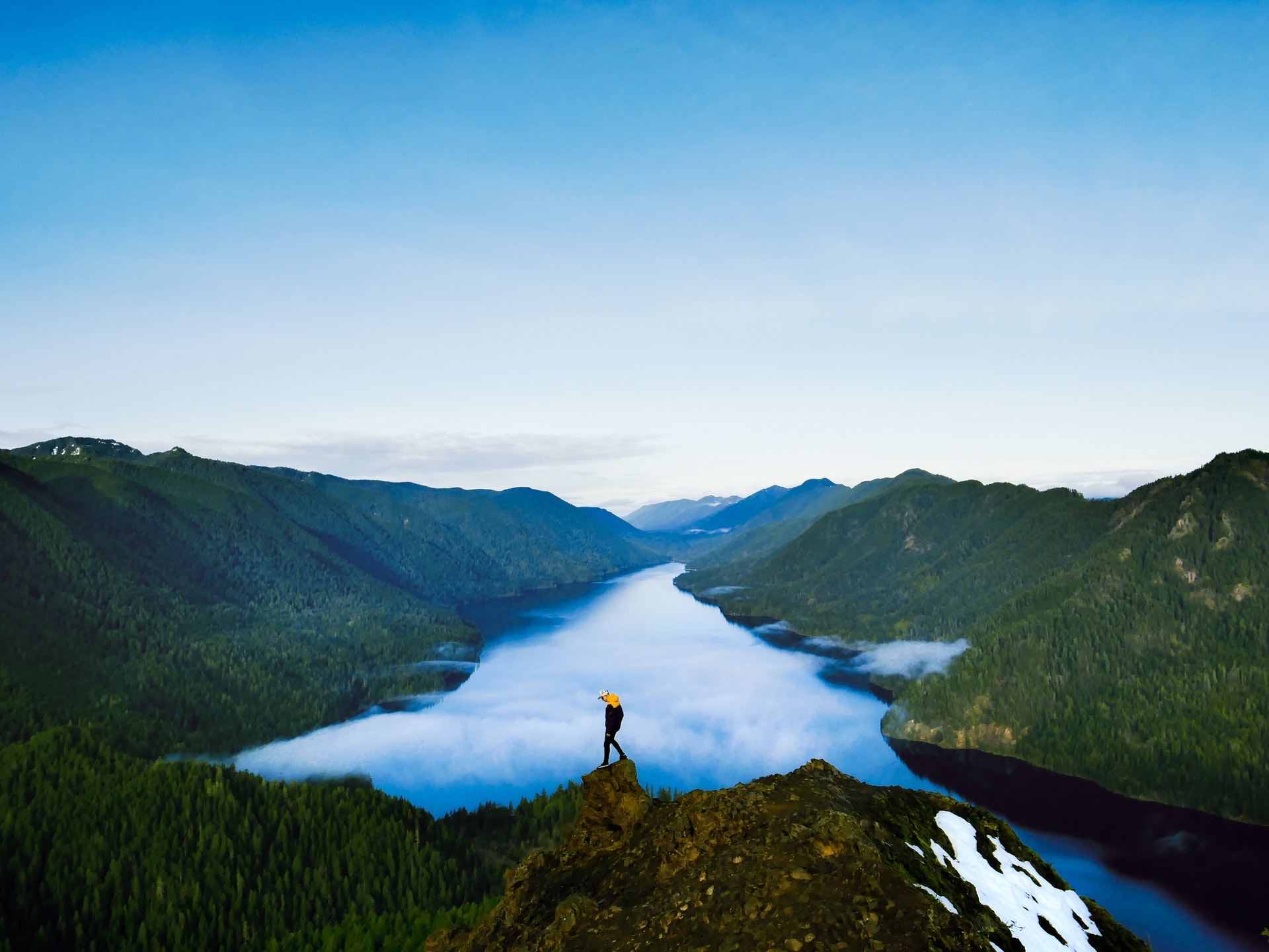 pexels-aleksey-kuprikov-3493819